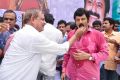 Actor NBK Birthday 2013 Celebrations Photos