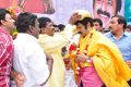 Actor Nandamuri Balakrishna Birthday 2013 Celebrations Photos