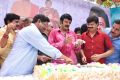 Actor Nandamuri Balakrishna 2013 Birthday Celebrations Photos