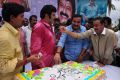 Actor Balakrishna Birthday Celebration 2013 Photos