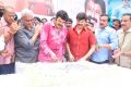 Actor NBK Birthday 2013 Celebrations Photos