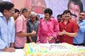 Actor Nandamuri Balakrishna 2013 Birthday Celebrations Photos