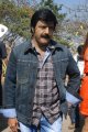 Nandamuri Balakrishna Latest Photos