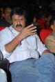 Telugu Actor Balakrishna New Images