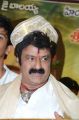 Balakrishna Birthday Celebrations 2014 Photos