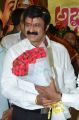 Balakrishna Birthday Celebrations 2014 Photos