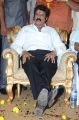 Balakrishna Birthday Celebrations 2014 Photos