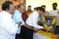 Nandamuri Balakrishna Birthday Celebrations 2014 Photos