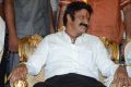 Nandamuri Balakrishna Birthday Celebrations 2014 Photos