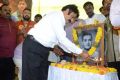 Nandamuri Balakrishna Birthday Celebrations 2014 Photos