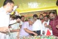 Nandamuri Balakrishna Birthday Celebrations 2014 Photos