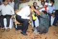 Nandamuri Balakrishna Birthday Celebrations 2014 Photos