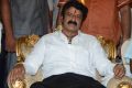 Nandamuri Balakrishna Birthday Celebrations 2014 Photos