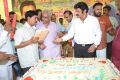 Nandamuri Balakrishna Birthday Celebrations 2014 Photos