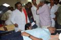 Nandamuri Balakrishna Birthday Celebrations 2014 Photos