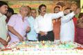 Nandamuri Balakrishna Birthday Celebrations 2014 Photos