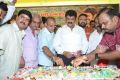 Nandamuri Balakrishna Birthday Celebrations 2014 Photos