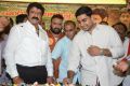 Nara Lokesh @ Nandamuri Balakrishna Birthday Celebrations 2014 Photos