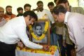 Nandamuri Balakrishna Birthday Celebrations 2014 Photos