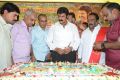 Nandamuri Balakrishna Birthday Celebrations 2014 Photos