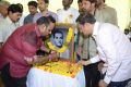 Nandamuri Balakrishna Birthday Celebrations 2014 Photos