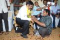 Nandamuri Balakrishna Birthday Celebrations 2014 Photos