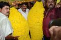 Nandamuri Balakrishna Birthday Celebrations 2014 Photos