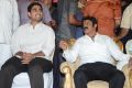 Nara Lokesh @ Nandamuri Balakrishna Birthday Celebrations 2014 Photos