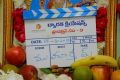 Nandamuri Balakrishna Boyapati Srinu New Movie Opening Stills