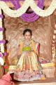 Balakrishna Daughter Tejaswini in Silk Saree Photos