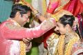 Balakrishna Daughter Tejaswini Sribharat Marriage Photos