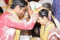 Balakrishna Daughter Tejaswini Sribharat Marriage Photos