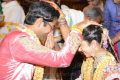 Balakrishna Daughter Tejaswini Marriage Photos