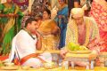 Balakrishna Second Daughter Tejaswini Wedding Stills