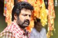 Balakrishna KS Ravikumar Movie Opening Stills