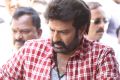 Balakrishna KS Ravikumar Movie Opening Stills