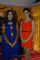 Isha Chawla, Parvathi Melton in Balakrishna New Movie Launch