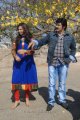 Balakrishna New Movie Opening Pictures