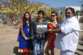 Balakrishna New Movie Opening Pictures