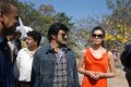 Balakrishna New Movie Opening Pictures