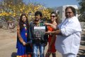 Balakrishna New Movie Opening Pictures