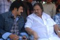 Balakrishna New Movie Opening Pictures