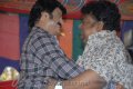 Balakrishna New Movie Opening Pictures