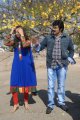 Balakrishna New Movie Opening Pictures