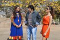 Balakrishna New Movie Opening Pictures