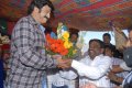 Balakrishna New Movie Opening Pictures