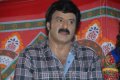 Nandamuri Balakrishna New Movie Opening Stills