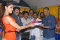 Balakrishna New Movie Opening Pictures