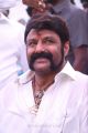 Nandamuri Balakrishna Puri Jagannadh Movie Launch Stills