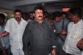 Balakrishna watches Lion Movie at Bramaramba Theatre Photos